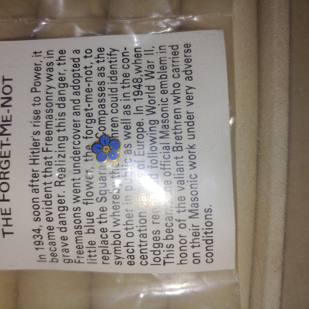 Antique Forget-Me-Not Masonic Symbol Pin